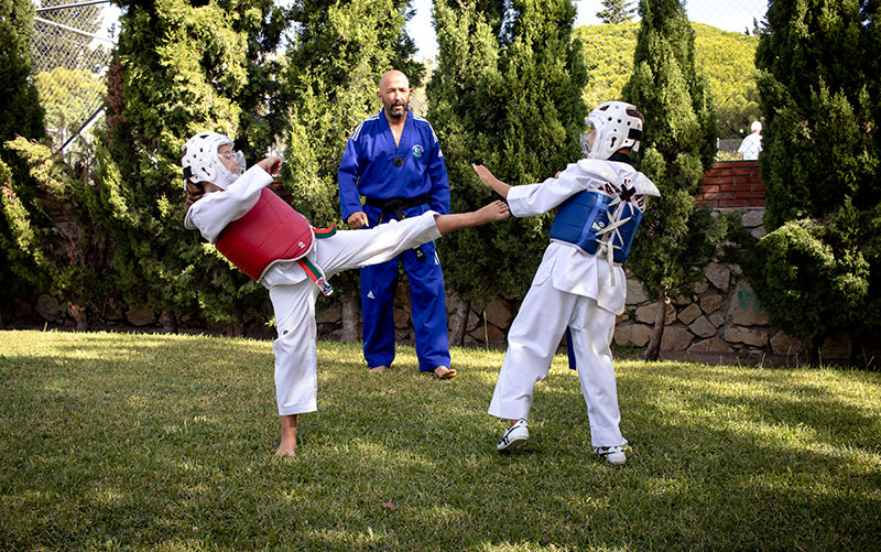TAEKWONDO (ARROYO DE LA MIEL)